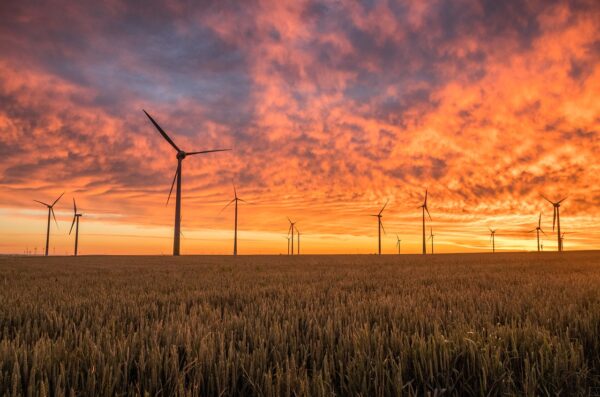 windmills, fields, sunset-1838788.jpg